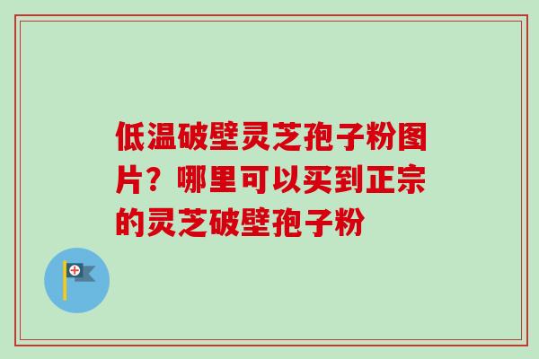低温破壁灵芝孢子粉图片？哪里可以买到正宗的灵芝破壁孢子粉