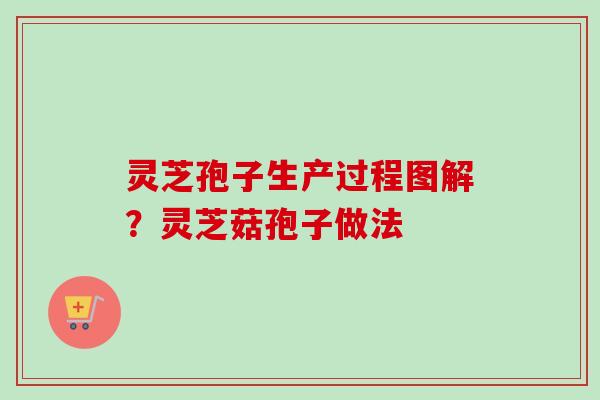 灵芝孢子生产过程图解?灵芝菇孢子做法 灵芝孢子生产过程图解?灵芝菇孢子做法