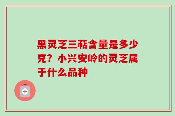 黑灵芝三萜含量是多少克？小兴安岭的灵芝属于什么品种