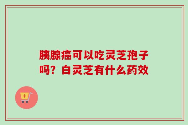 胰腺可以吃灵芝孢子吗?白灵芝有什么 胰腺可以吃灵芝孢子吗?白灵芝有什么