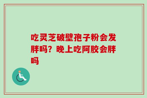 吃灵芝破壁孢子粉会发胖吗?晚上吃阿胶会胖吗 吃灵芝破壁孢子粉会发胖吗?晚上吃阿胶会胖吗