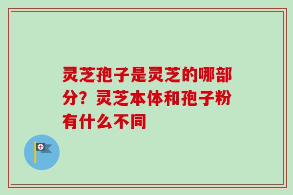 灵芝孢子是灵芝的哪部分？灵芝本体和孢子粉有什么不同