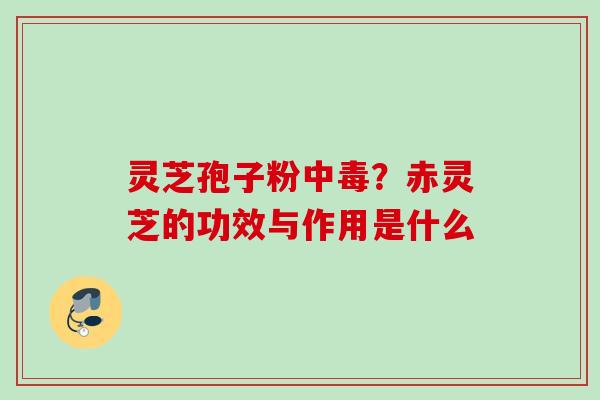 灵芝孢子粉中毒?赤灵芝的功效与作用是什么 灵芝孢子粉中毒?赤灵芝的功效与作用是什么