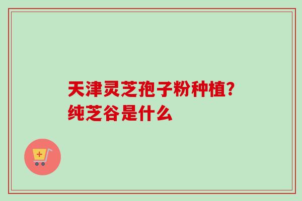 天津灵芝孢子粉种植？纯芝谷是什么