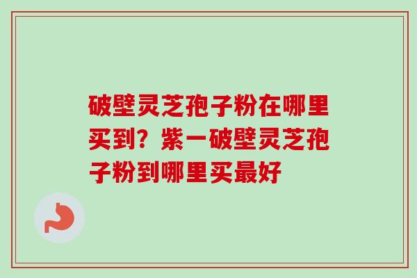 破壁灵芝孢子粉在哪里买到?紫一破壁灵芝孢子粉到哪里买好 破壁灵芝孢子粉在哪里买到?紫一破壁灵芝孢子粉到哪里买好