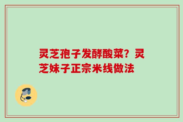 灵芝孢子发酵酸菜?灵芝妹子正宗米线做法 灵芝孢子发酵酸菜?灵芝妹子正宗米线做法