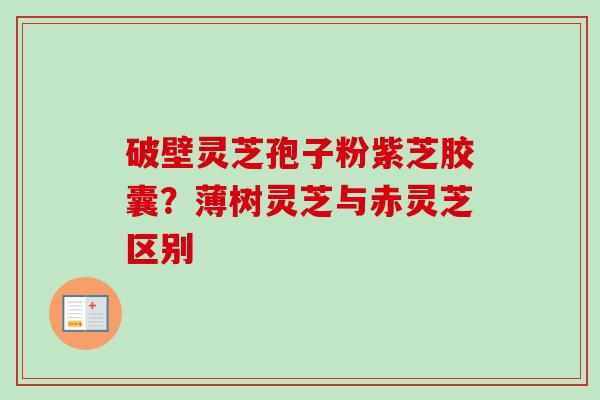 破壁灵芝孢子粉紫芝胶囊?薄树灵芝与赤灵芝区别 破壁灵芝孢子粉紫芝胶囊?薄树灵芝与赤灵芝区别