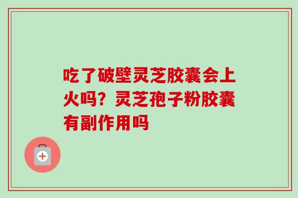 吃了破壁灵芝胶囊会上火吗?灵芝孢子粉胶囊有副作用吗 吃了破壁灵芝胶囊会上火吗?灵芝孢子粉胶囊有副作用吗