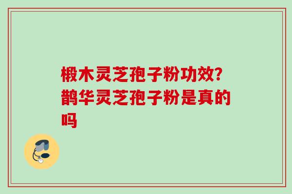 椴木灵芝孢子粉功效？鹊华灵芝孢子粉是真的吗