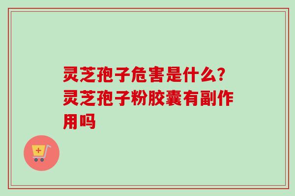 灵芝孢子危害是什么？灵芝孢子粉胶囊有副作用吗