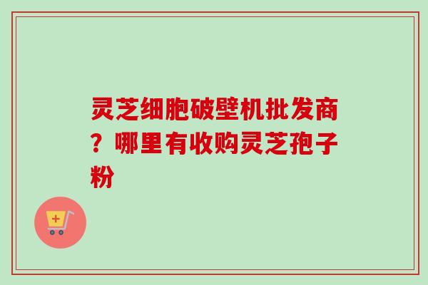 灵芝细胞破壁机批发商?哪里有收购灵芝孢子粉 灵芝细胞破壁机批发商?哪里有收购灵芝孢子粉