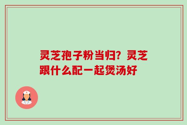 灵芝孢子粉当归?灵芝跟什么配一起煲汤好 灵芝孢子粉当归?灵芝跟什么配一起煲汤好