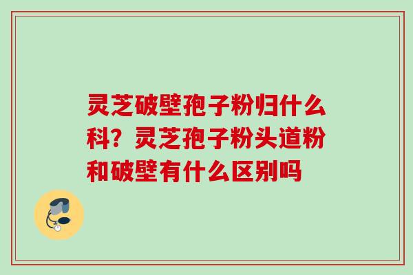 灵芝破壁孢子粉归什么科？灵芝孢子粉头道粉和破壁有什么区别吗