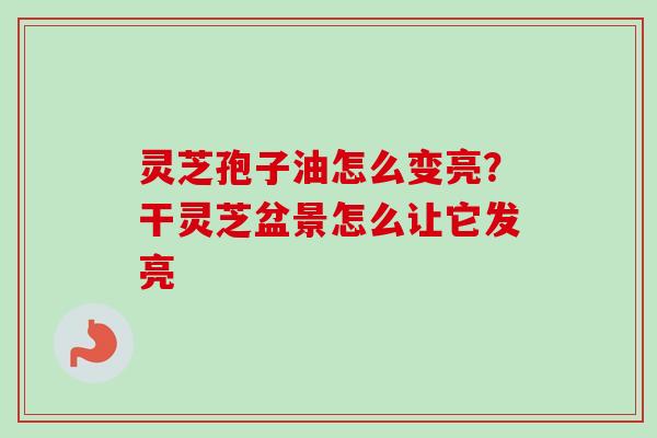 灵芝孢子油怎么变亮？干灵芝盆景怎么让它发亮