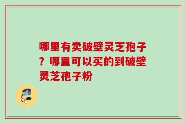 哪里有卖破壁灵芝孢子？哪里可以买的到破壁灵芝孢子粉