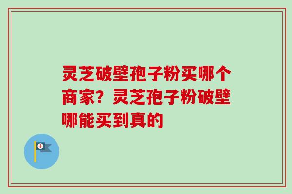 灵芝破壁孢子粉买哪个商家?灵芝孢子粉破壁哪能买到真的 灵芝破壁孢子粉买哪个商家?灵芝孢子粉破壁哪能买到真的