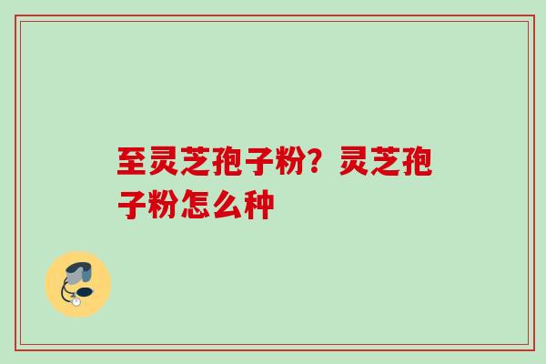 至灵芝孢子粉？灵芝孢子粉怎么种