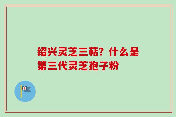 绍兴灵芝三萜?什么是第三代灵芝孢子粉 绍兴灵芝三萜?什么是第三代灵芝孢子粉