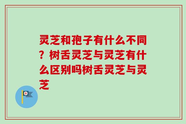 灵芝和孢子有什么不同?树舌灵芝与灵芝有什么区别吗树舌灵芝与灵芝 灵芝和孢子有什么不同?树舌灵芝与灵芝有什么区别吗树舌灵芝与灵芝