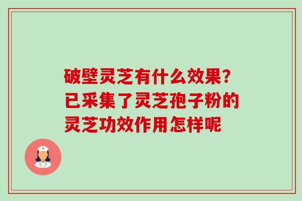 破壁灵芝有什么效果?已采集了灵芝孢子粉的灵芝功效作用怎样呢 破壁灵芝有什么效果?已采集了灵芝孢子粉的灵芝功效作用怎样呢