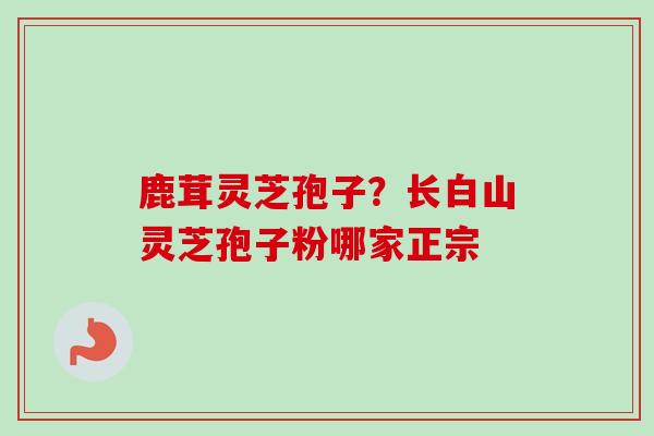 鹿茸灵芝孢子？长白山灵芝孢子粉哪家正宗