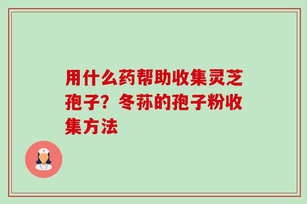 用什么药帮助收集灵芝孢子?冬荪的孢子粉收集方法 用什么药帮助收集灵芝孢子?冬荪的孢子粉收集方法