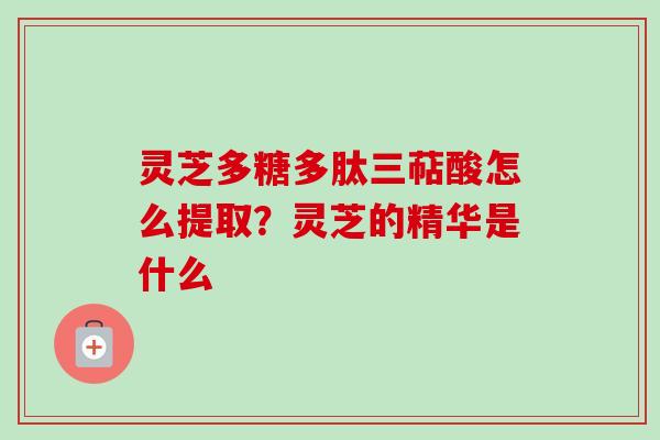 灵芝多糖多肽三萜酸怎么提取?灵芝的精华是什么 灵芝多糖多肽三萜酸怎么提取?灵芝的精华是什么