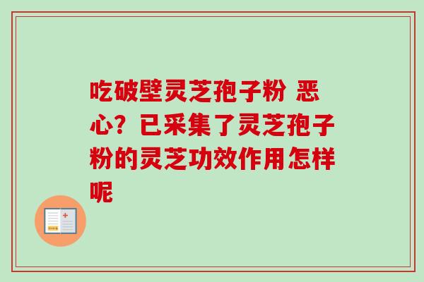 吃破壁灵芝孢子粉 恶心？已采集了灵芝孢子粉的灵芝功效作用怎样呢
