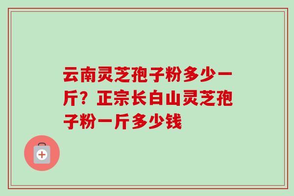 云南灵芝孢子粉多少一斤?正宗长白山灵芝孢子粉一斤多少钱 云南灵芝孢子粉多少一斤?正宗长白山灵芝孢子粉一斤多少钱