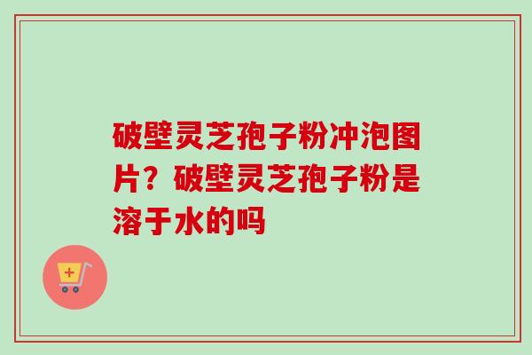 破壁灵芝孢子粉冲泡图片?破壁灵芝孢子粉是溶于水的吗 破壁灵芝孢子粉冲泡图片?破壁灵芝孢子粉是溶于水的吗