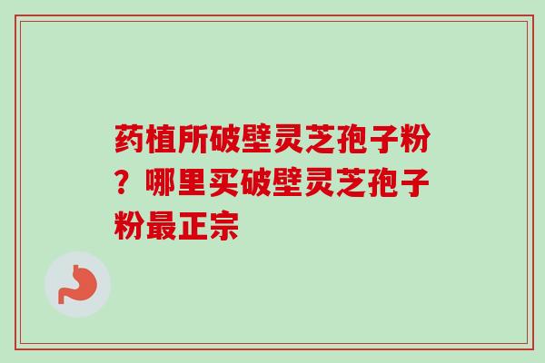 药植所破壁灵芝孢子粉?哪里买破壁灵芝孢子粉正宗 药植所破壁灵芝孢子粉?哪里买破壁灵芝孢子粉正宗