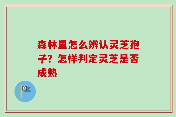 森林里怎么辨认灵芝孢子?怎样判定灵芝是否成熟 森林里怎么辨认灵芝孢子?怎样判定灵芝是否成熟
