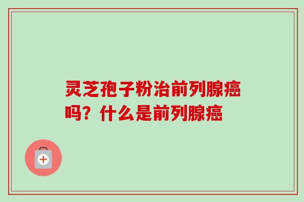 灵芝孢子粉前列腺吗?什么是前列腺 灵芝孢子粉前列腺吗?什么是前列腺
