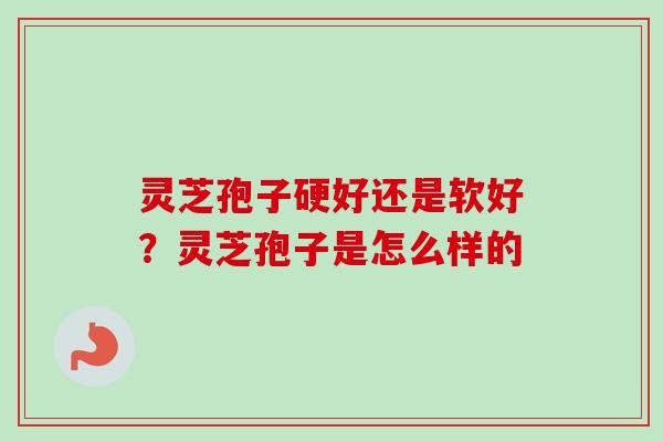 灵芝孢子硬好还是软好?灵芝孢子是怎么样的 灵芝孢子硬好还是软好?灵芝孢子是怎么样的