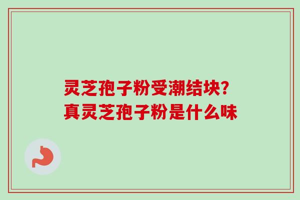 灵芝孢子粉受潮结块?真灵芝孢子粉是什么味 灵芝孢子粉受潮结块?真灵芝孢子粉是什么味