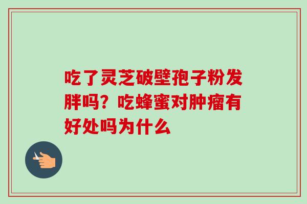 吃了灵芝破壁孢子粉发胖吗?吃蜂蜜对有好处吗为什么 吃了灵芝破壁孢子粉发胖吗?吃蜂蜜对有好处吗为什么