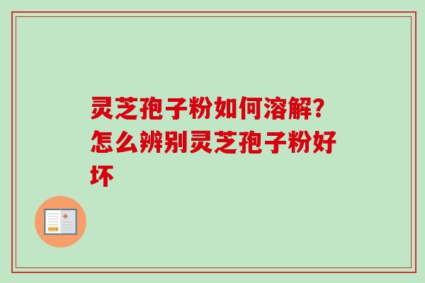 灵芝孢子粉如何溶解?怎么辨别灵芝孢子粉好坏 灵芝孢子粉如何溶解?怎么辨别灵芝孢子粉好坏