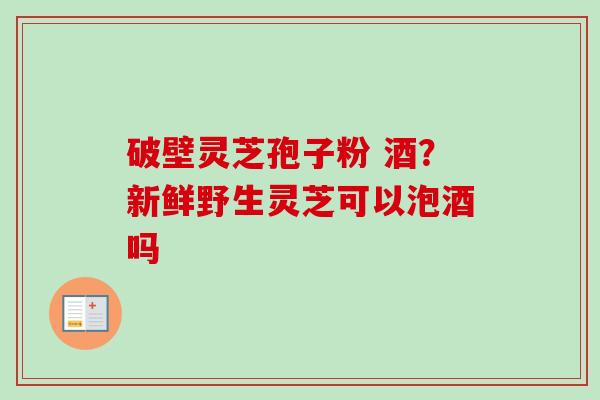 破壁灵芝孢子粉 酒?新鲜野生灵芝可以泡酒吗 破壁灵芝孢子粉 酒?新鲜野生灵芝可以泡酒吗