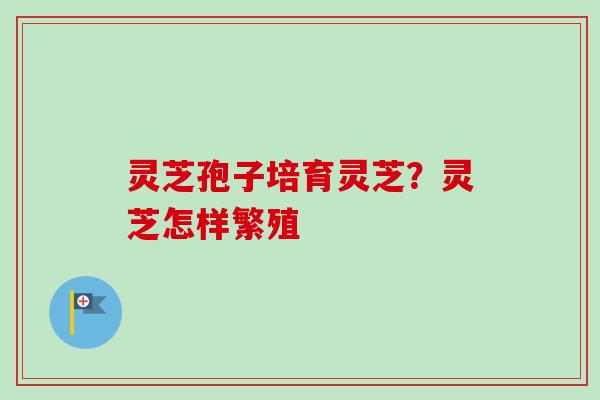 灵芝孢子培育灵芝？灵芝怎样繁殖