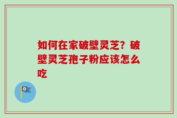 如何在家破壁灵芝？破壁灵芝孢子粉应该怎么吃