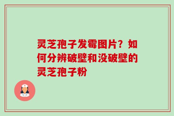 灵芝孢子发霉图片？如何分辨破壁和没破壁的灵芝孢子粉