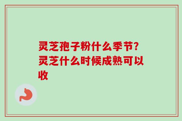 灵芝孢子粉什么季节?灵芝什么时候成熟可以收 灵芝孢子粉什么季节?灵芝什么时候成熟可以收