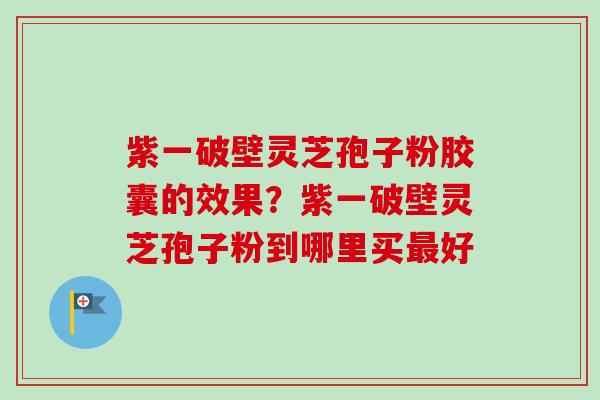 紫一破壁灵芝孢子粉胶囊的效果?紫一破壁灵芝孢子粉到哪里买好 紫一破壁灵芝孢子粉胶囊的效果?紫一破壁灵芝孢子粉到哪里买好