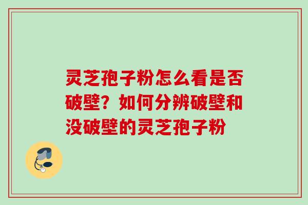 灵芝孢子粉怎么看是否破壁?如何分辨破壁和没破壁的灵芝孢子粉 灵芝孢子粉怎么看是否破壁?如何分辨破壁和没破壁的灵芝孢子粉
