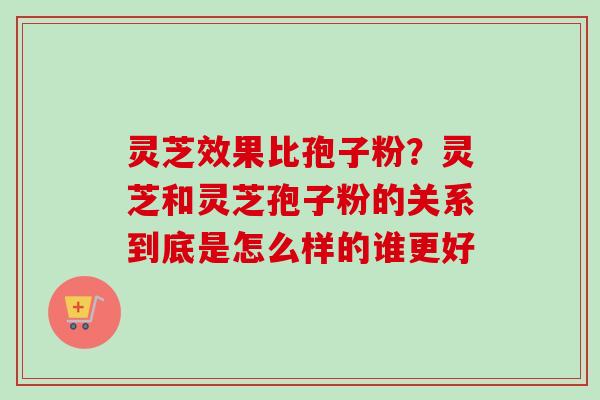 灵芝效果比孢子粉?灵芝和灵芝孢子粉的关系到底是怎么样的谁更好 灵芝效果比孢子粉?灵芝和灵芝孢子粉的关系到底是怎么样的谁更好