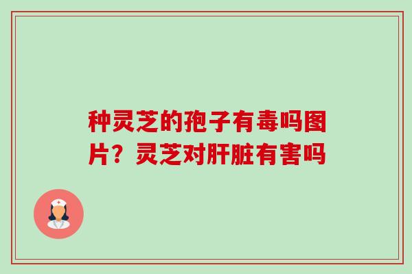 种灵芝的孢子有毒吗图片?灵芝对有害吗 种灵芝的孢子有毒吗图片?灵芝对有害吗
