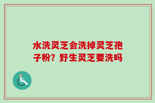 水洗灵芝会洗掉灵芝孢子粉?野生灵芝要洗吗 水洗灵芝会洗掉灵芝孢子粉?野生灵芝要洗吗
