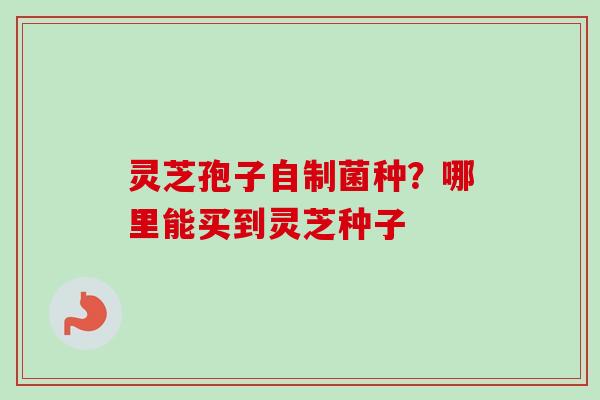灵芝孢子自制菌种？哪里能买到灵芝种子