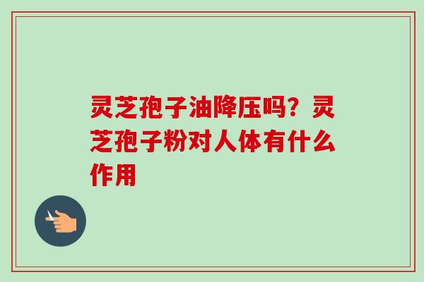灵芝孢子油吗?灵芝孢子粉对人体有什么作用 灵芝孢子油吗?灵芝孢子粉对人体有什么作用