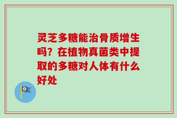 灵芝多糖能骨质增生吗？在植物真菌类中提取的多糖对人体有什么好处